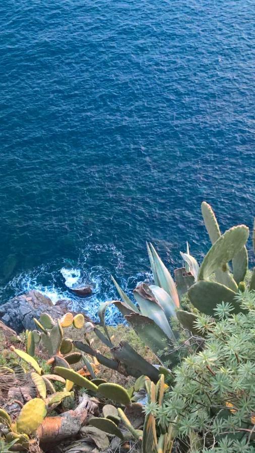 The Pearl Of 5 Terre - Monterosso Διαμέρισμα Μοντερόσο αλ Μάρε Εξωτερικό φωτογραφία