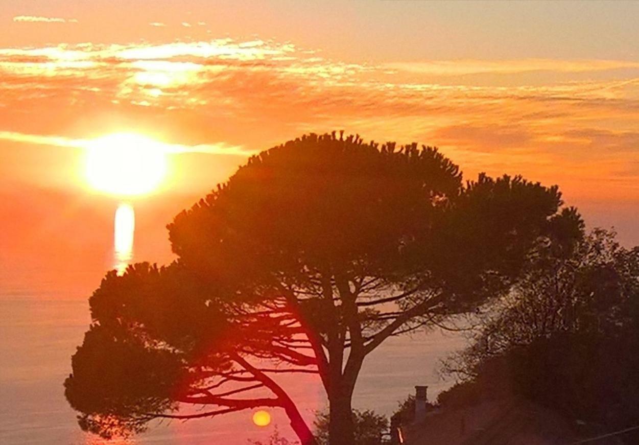 The Pearl Of 5 Terre - Monterosso Διαμέρισμα Μοντερόσο αλ Μάρε Εξωτερικό φωτογραφία
